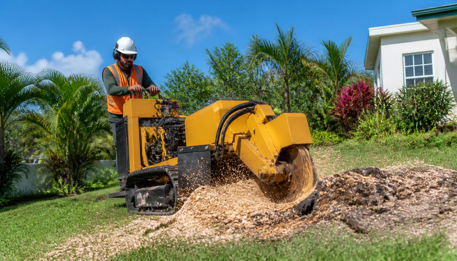 Máquina trituradora de tocones trabajando en una propiedad en Puerto Rico